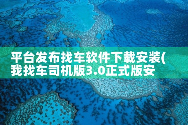 平台发布找车软件下载安装