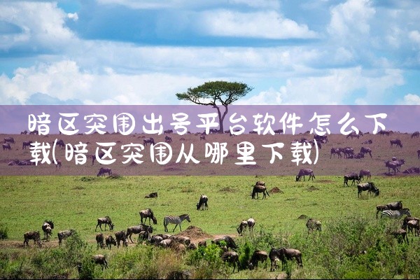 暗区突围出号平台软件怎么下载