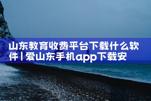山东教育收费平台下载什么软件