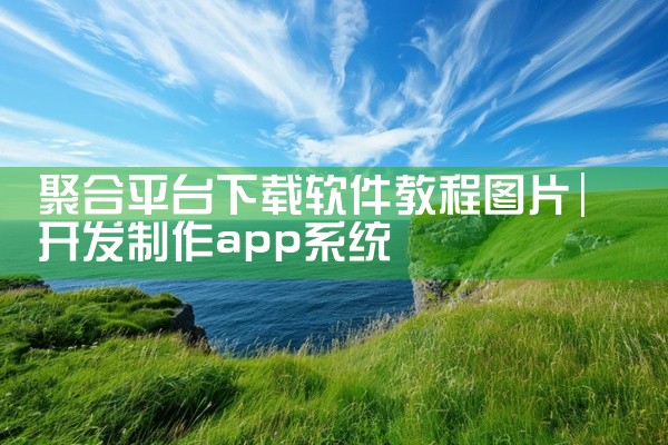 聚合平台下载软件教程图片