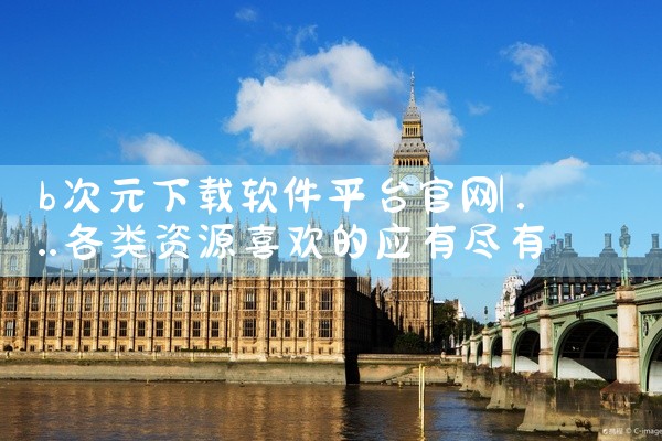 b次元下载软件平台官网