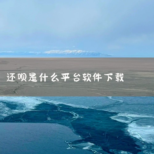 2. 应用商店下载：? iOS用户：打开Apple Store，搜索“还呗”，找到官方认证的“还呗 – 方便快捷的移动支付平台”，点击“获取”安装。? Android用户：打开Google Play（,