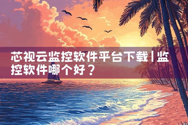 芯视云监控软件平台下载