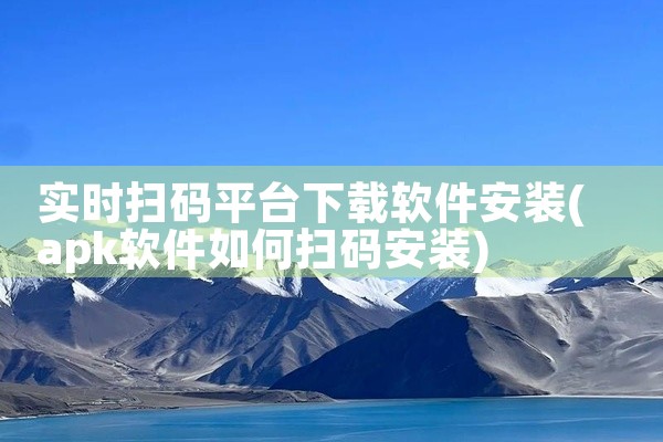 实时扫码平台下载软件安装