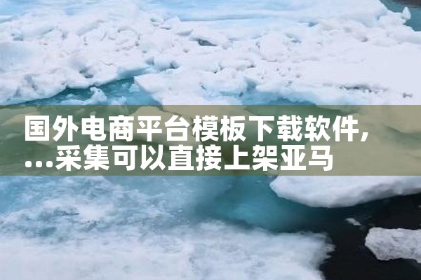 国外电商平台模板下载软件