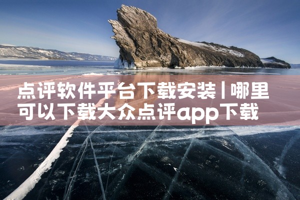 点评软件平台下载安装