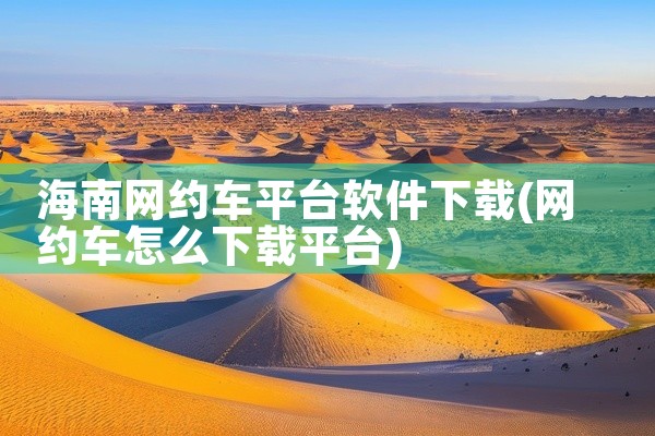 海南网约车平台软件下载