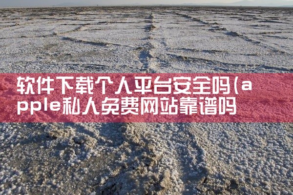 软件下载个人平台安全吗